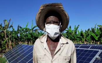 An outstanding farmer uses solar panels in food production 1 A farmer from Contramaestre uses solar panels in food production