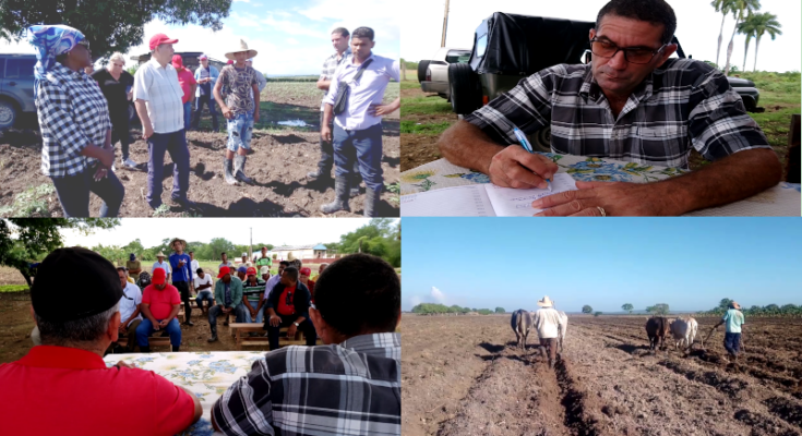 Contramaestre for agriculture improvement