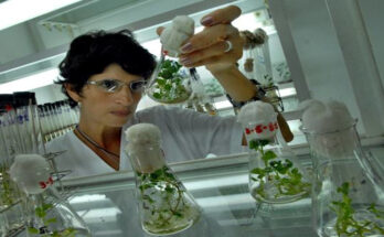 Contramaestre looking to apply more science to agriculture 1 Contramaestre looking to apply more science to agriculture