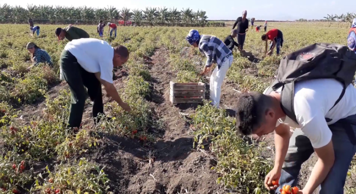 New generations, the guarantee of a better future 1 New generations, the guarantee of a better future