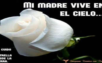 To my mother 1 Mother's Day