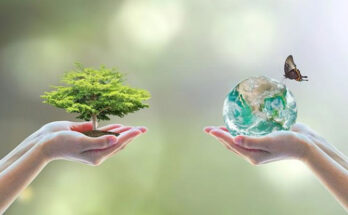 Let's save the environment 1 Let's save the environment