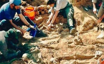 Human remains of Che, the finding that Cuba never forgets 1 Remains of Che, the finding that Cuba never forgets