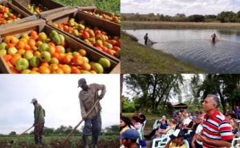 Balance and prospects of the economic entity in Contramaestre 1 Food production the core of en economic entity in Contramaestre