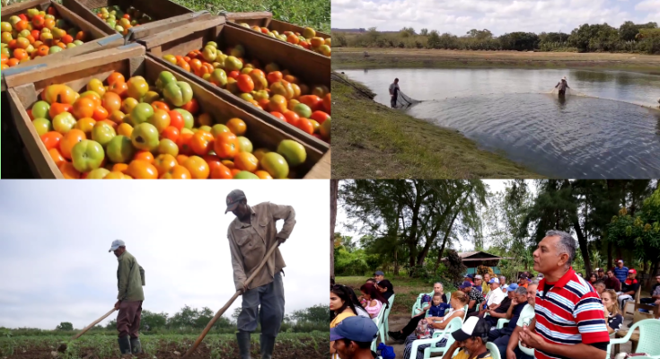 Food production the core of en economic entity in Contramaestre