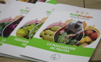 Contramaestre included in an international project of agro-fruit crops in Cuba 1 International project for the development of agro-fruit crops in Cuba