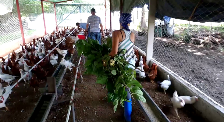 Contramaestre takes on the challenges of local development projects in 2024IN 2024