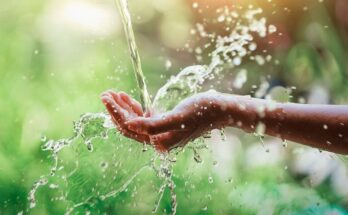 Water for peace and development 1 March 22, World Water Day