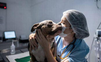 Veterinarians, lovers of the animal kingdom 1 Veterinarians, lovers of the animal kingdom