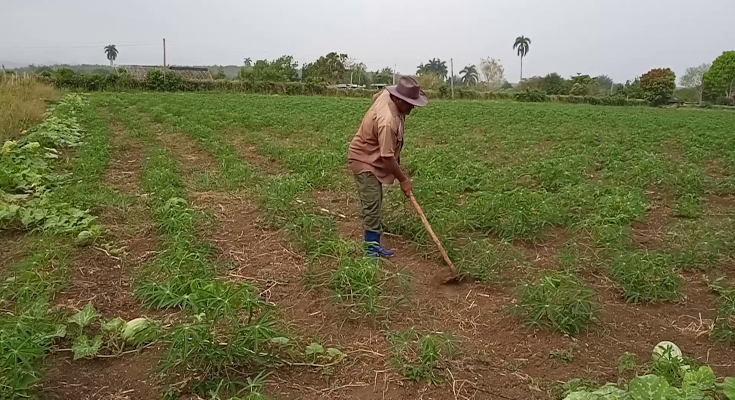 agroecologia contramaestre