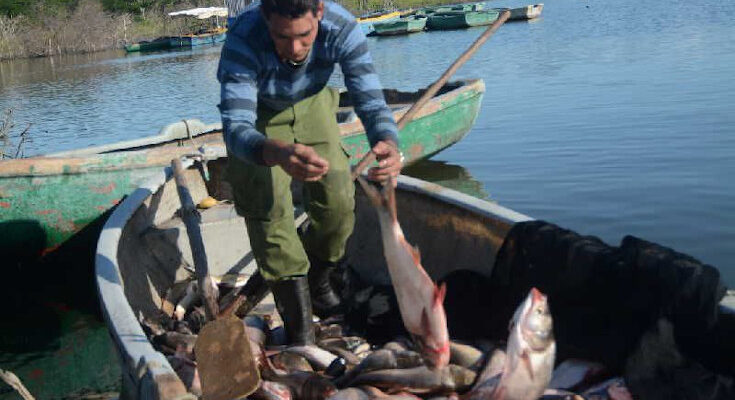 Men accomplices of fresh waters