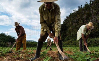 Agrarian Reform Law, 65 years now