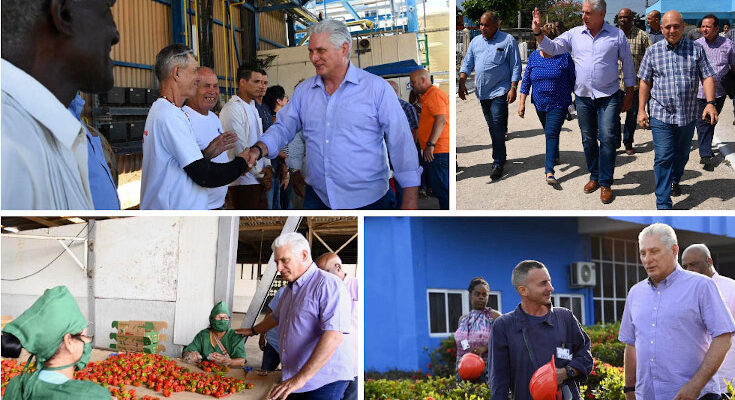 Díaz-Canel Expresses Confidence in Cuba's Capacity to Overcome Challenges 1 Díaz-Canel Expresses Confidence in Cuba's Capacity to Overcome Challenge