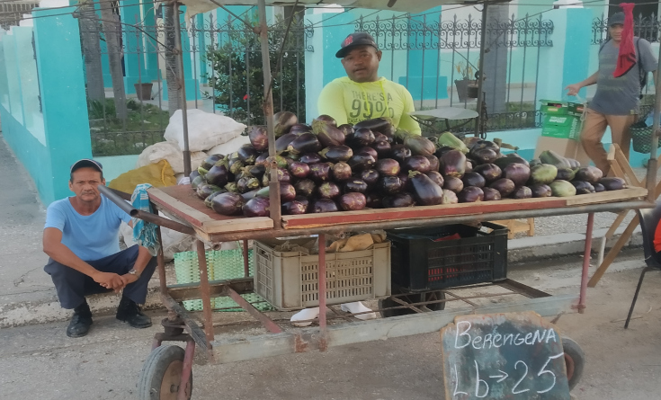 Contramaestre Agricultural and Livestock Fair on Saturdays 3 feria contramaestre 3