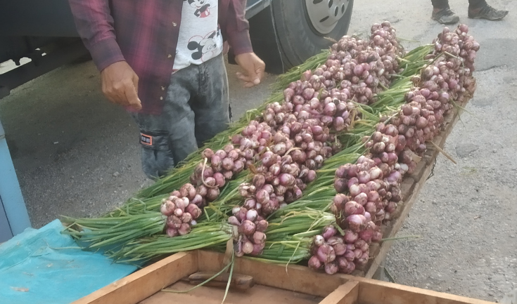Contramaestre Agricultural and Livestock Fair on Saturdays 4 feria contramaestre 4