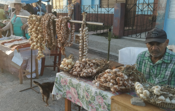 Contramaestre Agricultural and Livestock Fair on Saturdays 5 Contramaestre Agricultural and Livestock Fair on Saturdays