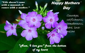 Mother, a passionate heart 1 Happy Mothers´ Day