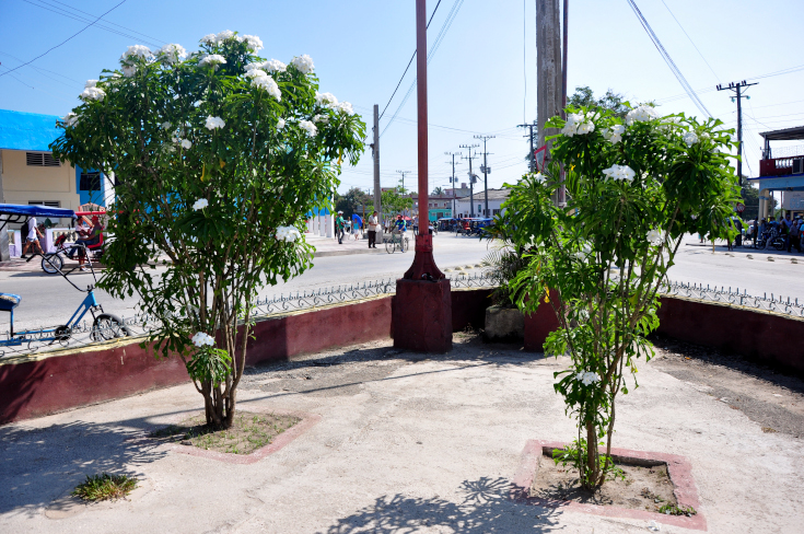 Contramaestre, a welcoming city in eastern Cuba 8 Contramaestre, a charming city
