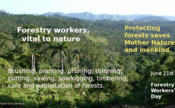 A life dedicated to forests 1 forestry workers day 2