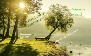 Summer at Maffo breaking old patterns 1 Summer mood