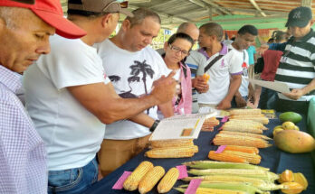 First edition of the Corn Festival held in Contramaestre 7 First edition of the Corn Festival held in Contramaestre