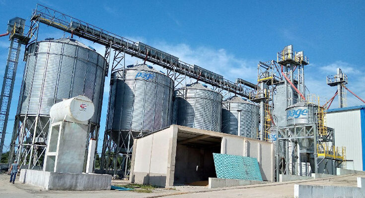 Contramaestre Grain Drying and Processing Plant is getting ready for corn harvesting 1 Agroecological practices favor peanut farming in Contramaestre.