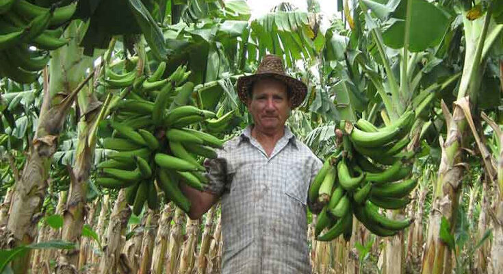 Science and technology for the sake of food production.