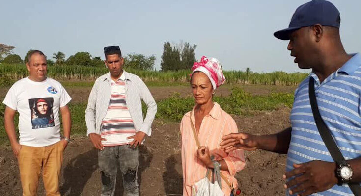 Yanelis Guerra Pérez, una mujer federada y productora de alimentos