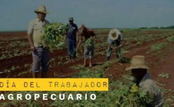 Agricultural workers from dawn to dusk, all seasons 1 Agricultural workers from dawn to dusk, all seasons