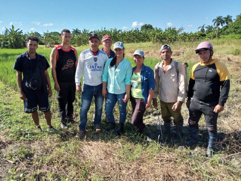 Workshop in Contramaestre on rice technology by manual transplanting 2 Sin ccctitulo 768x576 1