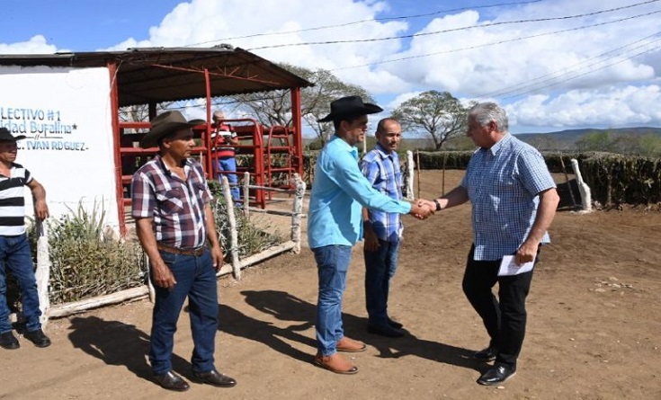 Cuban President tours works of economic and social interest in Guantánamo and Santiago 2 DC GTM 3 768x512 1