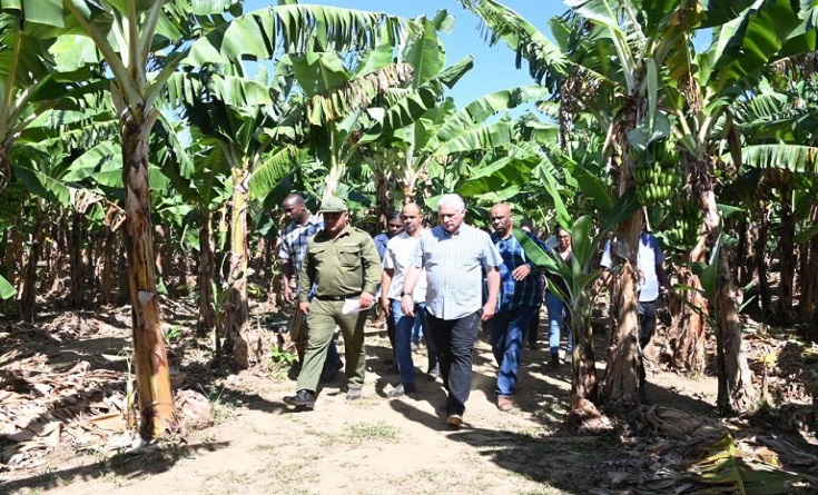Cuban President tours works of economic and social interest in Guantánamo and Santiago 4 DC GTM 4 768x512 1