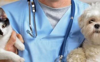 Veterinarians: professionals who defend animal health 1 Veterinarians: professionals who defend animal health