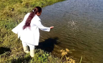 Mariela, challenge-loving acuiculturist 1 Mariela, owner of the fresh waters.