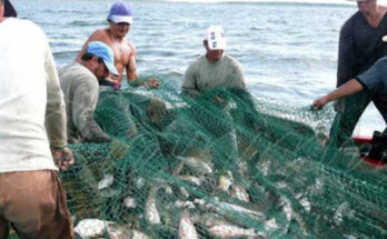 Fishermen strive for the food supply of the people 1 Fishermen strive for the food supply of the people.