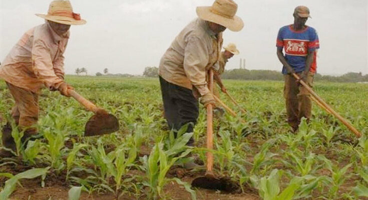 May 17, a victory for Cuban farmers 1 May 17, a victory for Cuban farmers