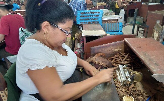 Tobacco identity in Mayelín Rodríguez's eyes 1 Tobacco identity in Mayelín Rodríguez's eyes