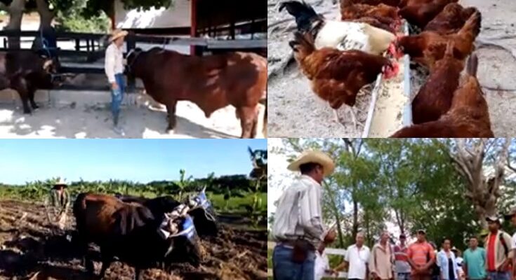 Making exceptional experiences in food production the norm.