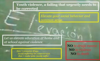 Youth Violence, a Failure to Be Urgently Corrected 1 Youth violence, a failing that urgently needs to be corrected