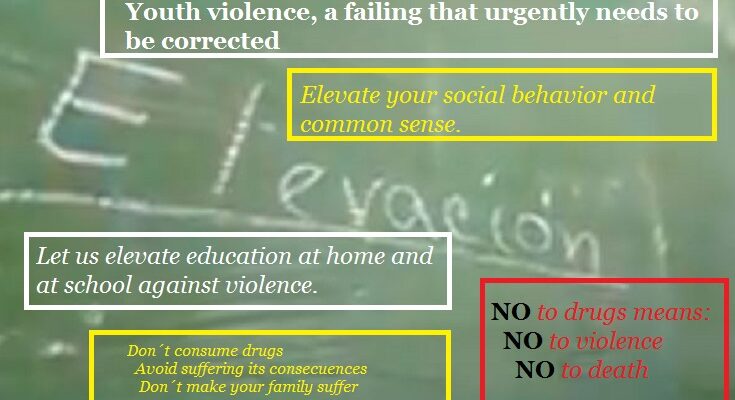 Youth Violence, a Failure to Be Urgently Corrected 1 Youth violence, a failing that urgently needs to be corrected