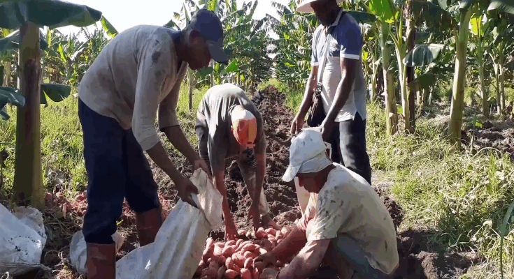 Contramaestre Sees Moderate Progress in Financial Balance at the End of the First Half of the Year 1 Contramaestre Sees Moderate Progress in Financial Balance at the End Contramaestre Sees Moderate Progress in Financial Balance at the End of the First Half of the Yearof the First Half of the Year