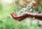 Water Supply Gradually Restored in Contramaestre