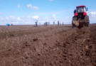 Spring Planting Campaign in Contramaestre Advances Despite Hurtles