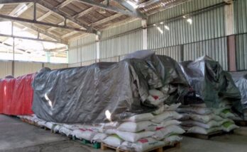 Animal Feed Factory in Contramaestre Affected by Tropical Cyclone