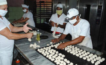 photo 5068850171893975830 x 1 735x400 1