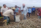 Food Production: Everyone's Responsibility