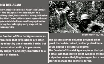 Combat of Pino del Agua