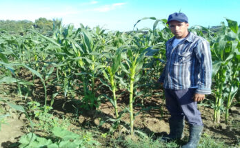 La Finca Rancho Alegre y la producción de alimentos 1 Denier Mora López y la Finca Rancho Alegre y la producción de alimentos