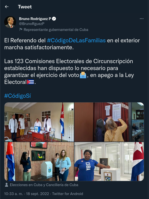 Avanza votación en el exterior del Código de las Familias 1 Bruno Rodriguez P en Twitter