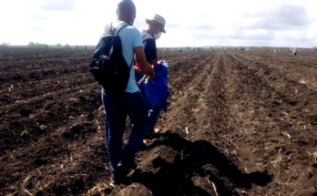 Municipio Contramaestre por mayores aportes a la soberanía alimentaria.